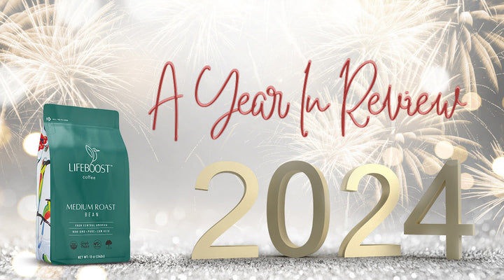 Lifeboostβs 2024 Journey: A Year In Review