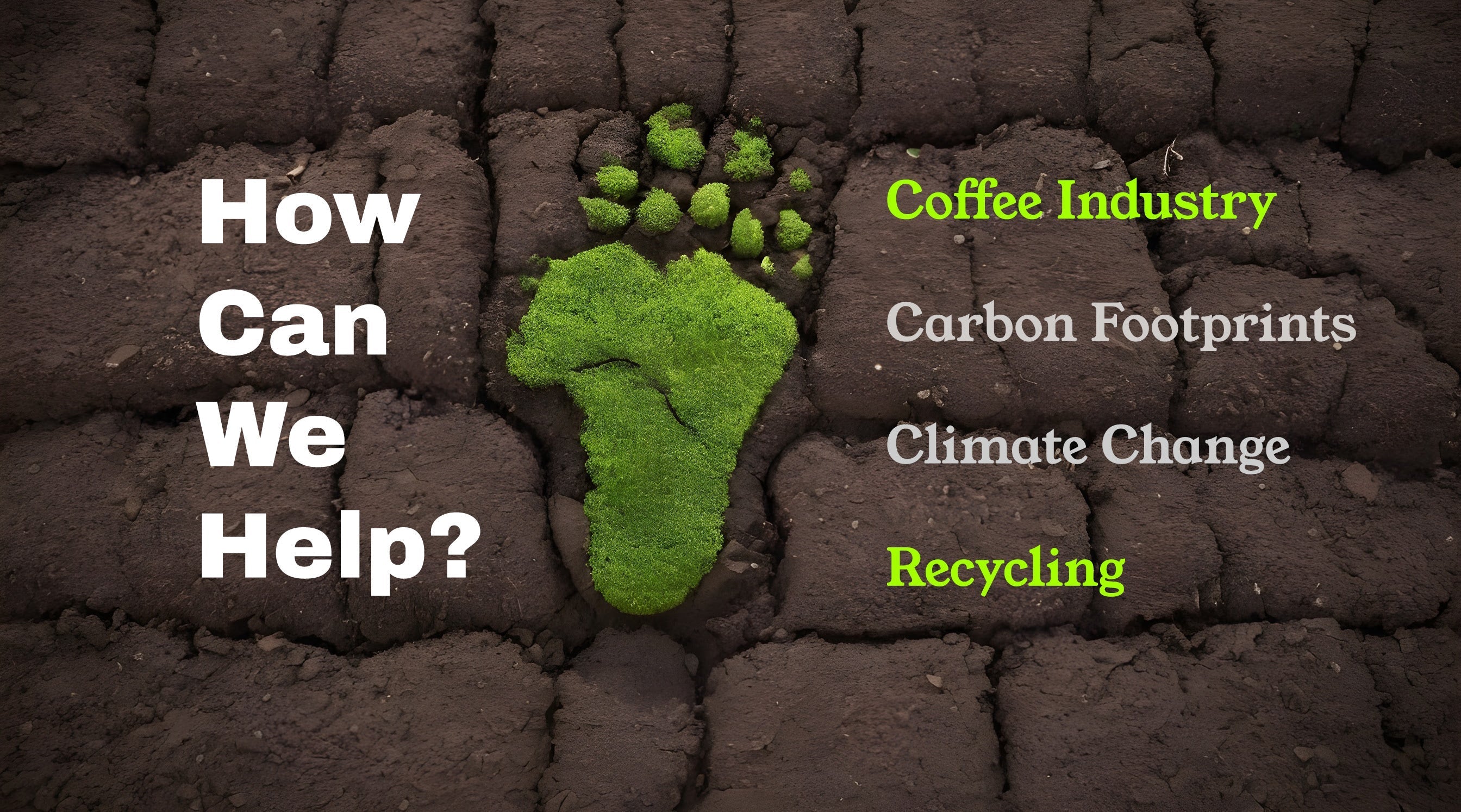 The Coffee Industry, Carbon Footprints, Climate Change, And Recycling - How Can We Help?