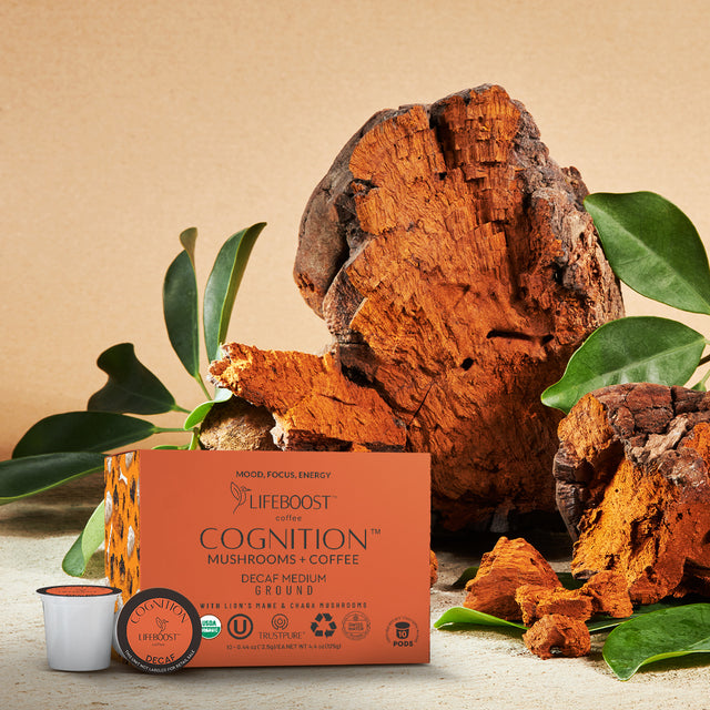 Decaf Cognition Mushroom Pods - Lifeboost Coffee